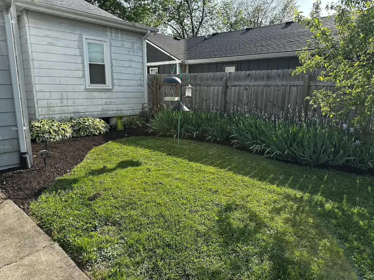 A backyard lawn bordered by curved, dark mulch beds with leafy plants and flowers beside a house and wooden fence. Bird feeders hang near the center.